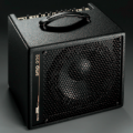 AER - Amp One, Bottomline Bass Combo AER - Amp One, Bottomline Bass Combo